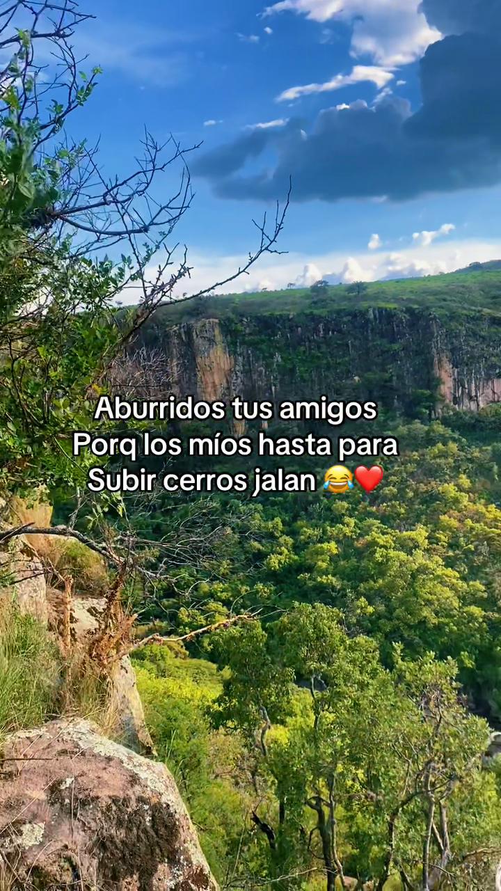 @🪐🖤Pao.-G&oacute;mez🖤😶&zwj;🌫️
