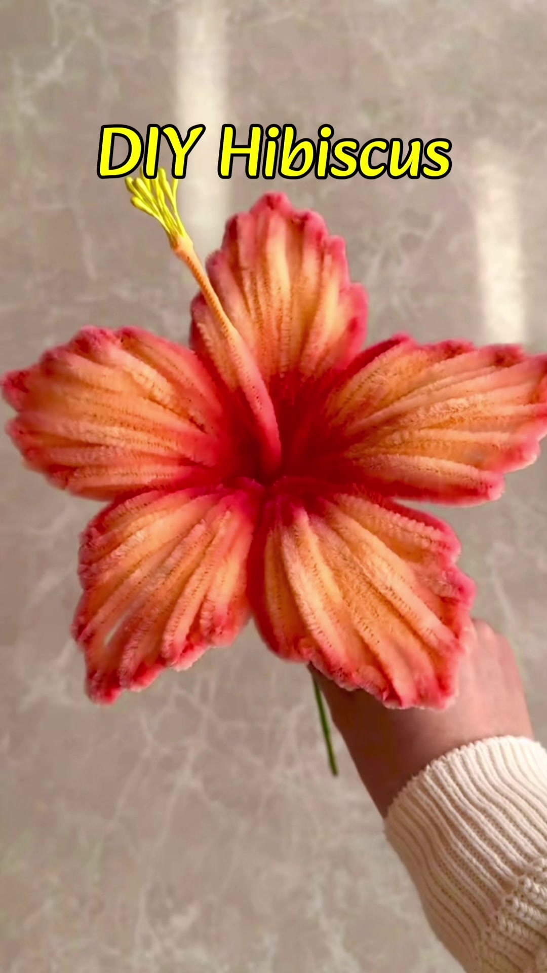@bloomielab