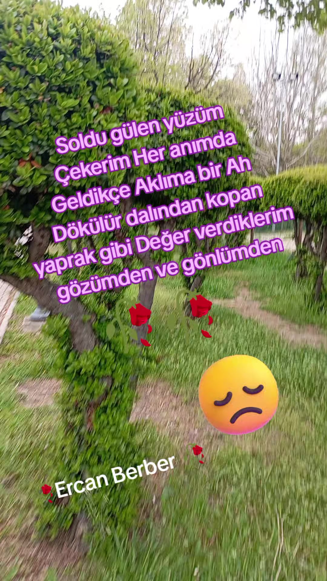 @Ercan Berber