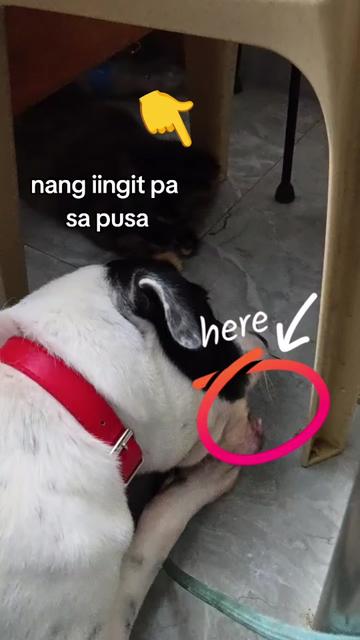 @Mommy Alpha