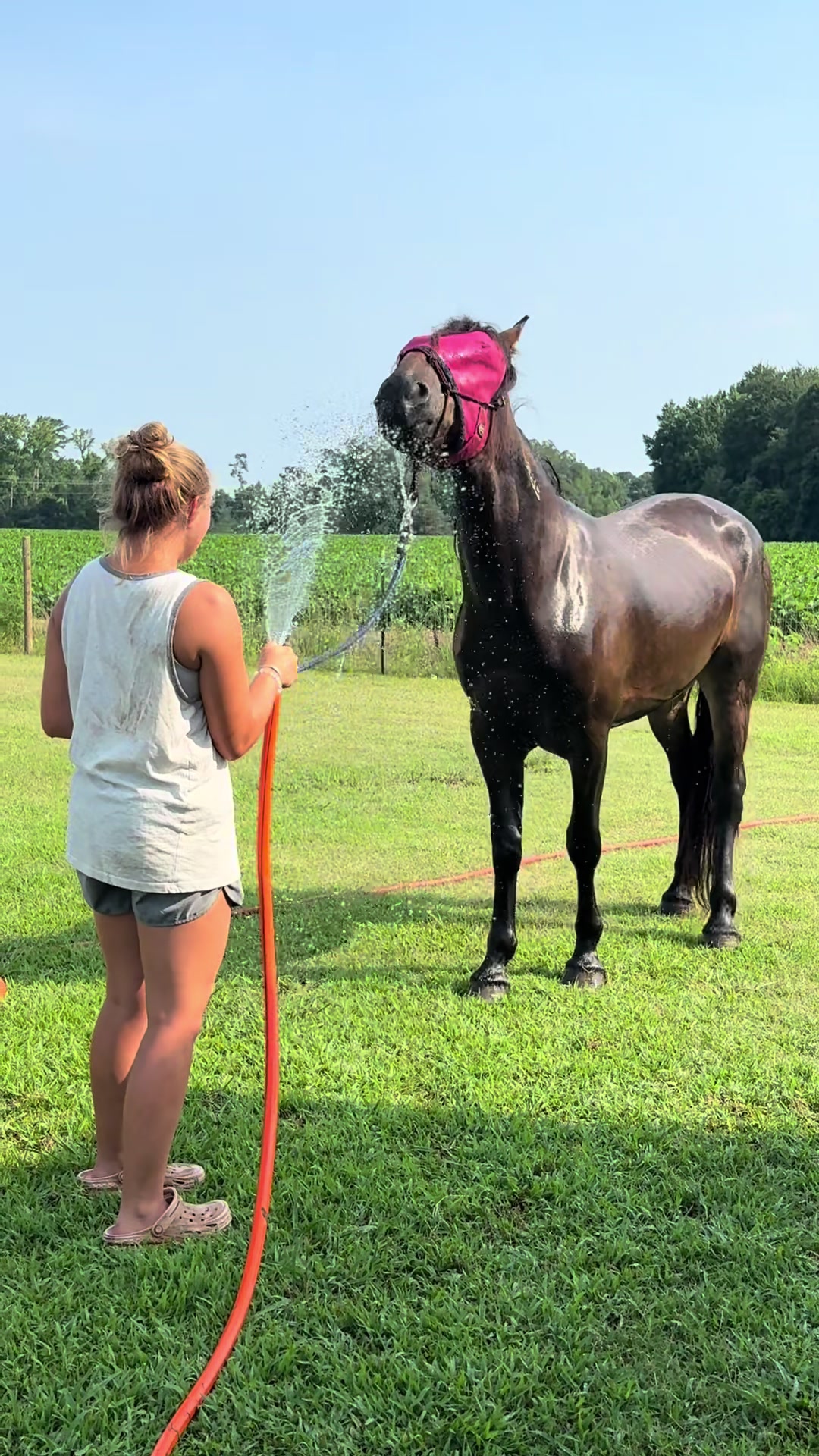 @Peppermint Pines Farm