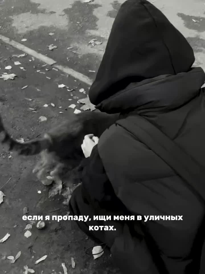 @кошка.