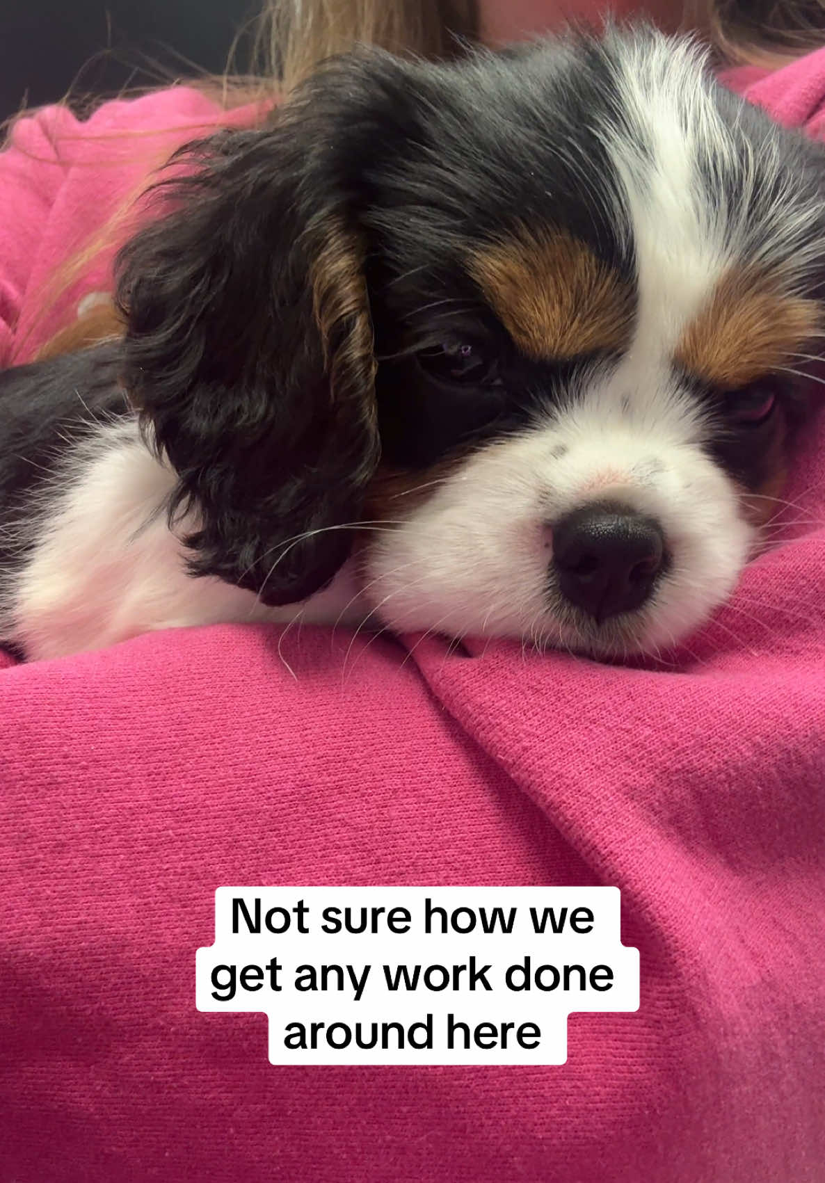 @Snodgrass Vet