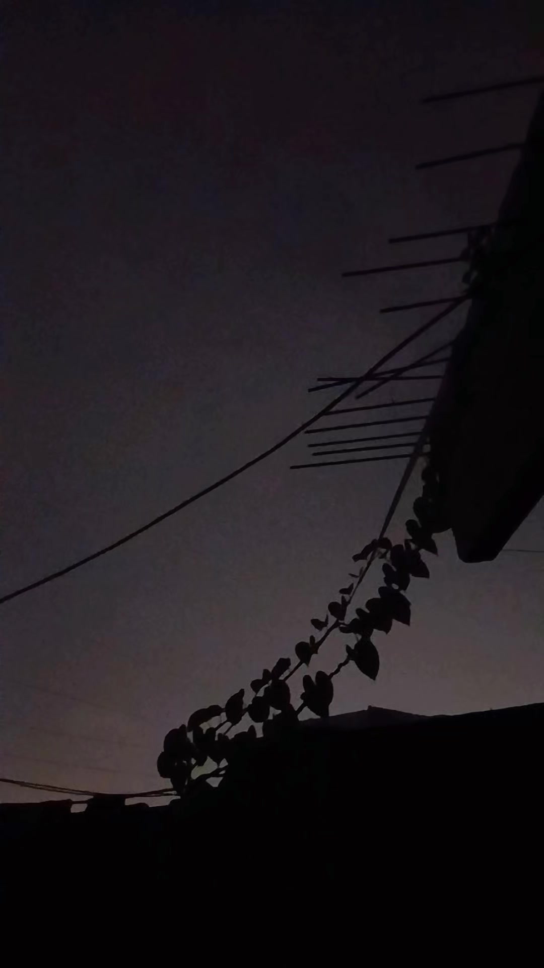 @Dk KHOKHAR 🇵🇰