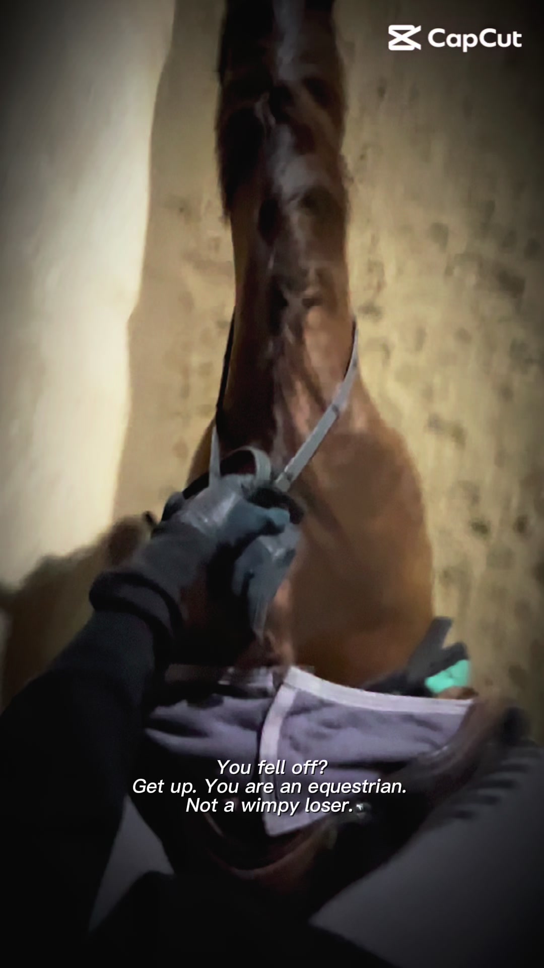 @Candace•eq-1💚🐴💫