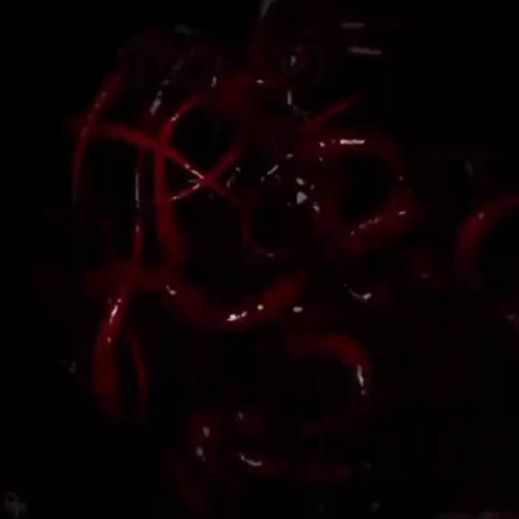 @Падший.