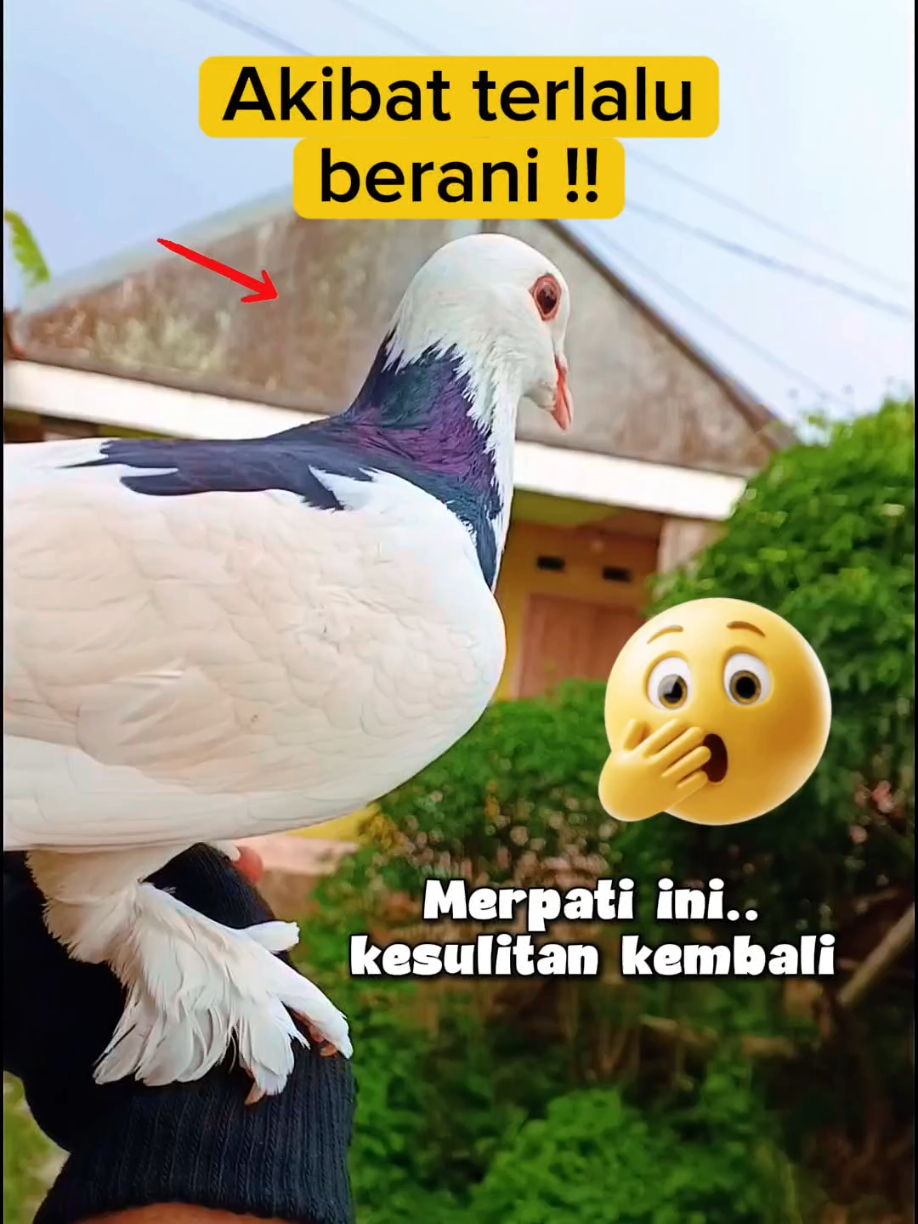 @BANG LEYON