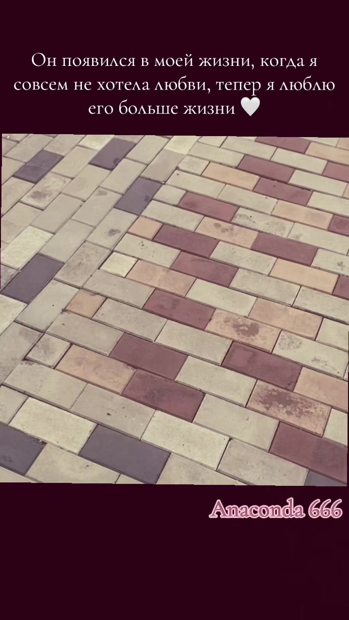 @𝑨𝒏𝒂𝒄𝒐𝒏𝒅𝒂☠️🐍