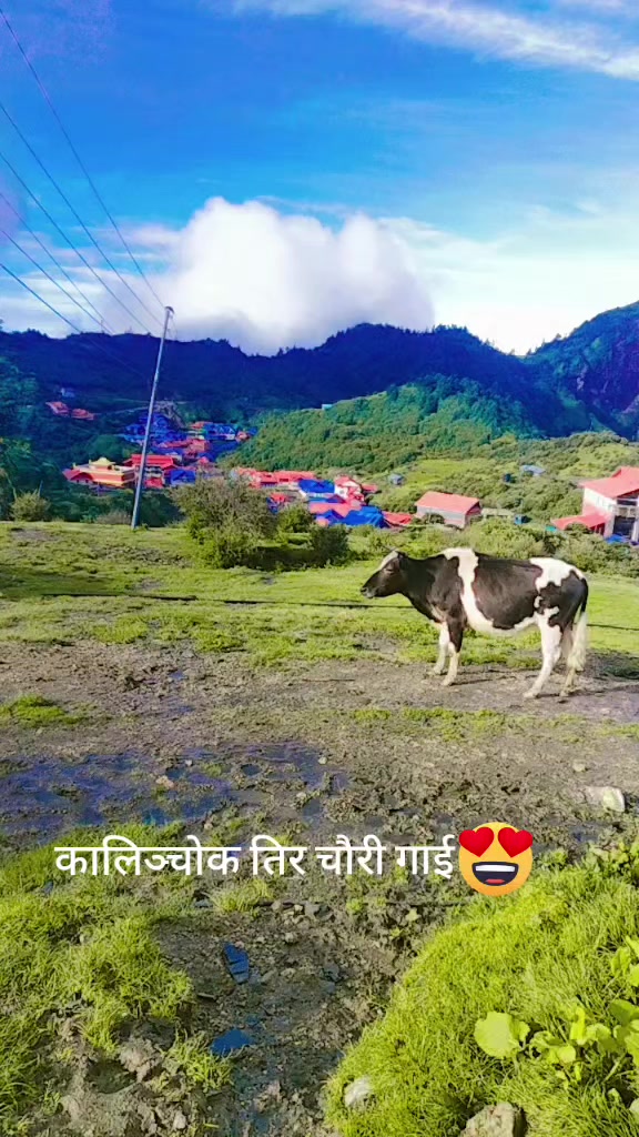 @Sujata thapa