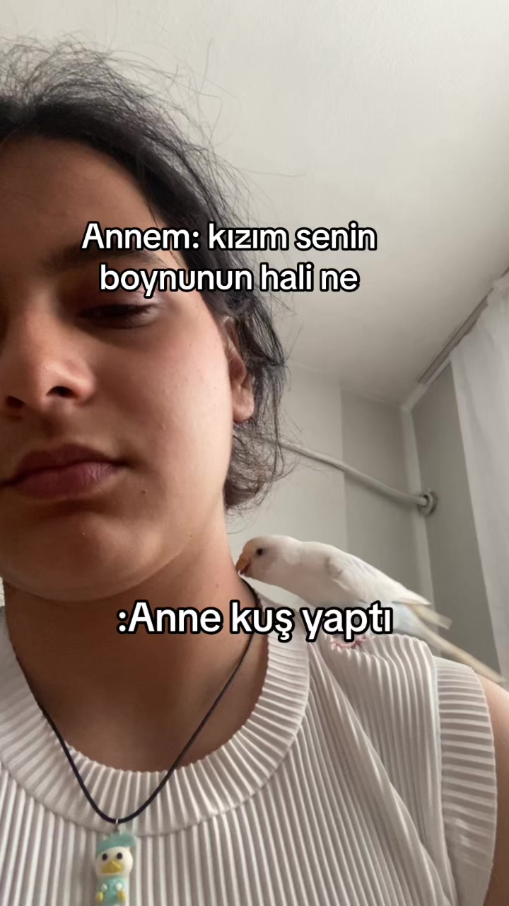 @A.Y🇹🇷͜͜͡͡✯