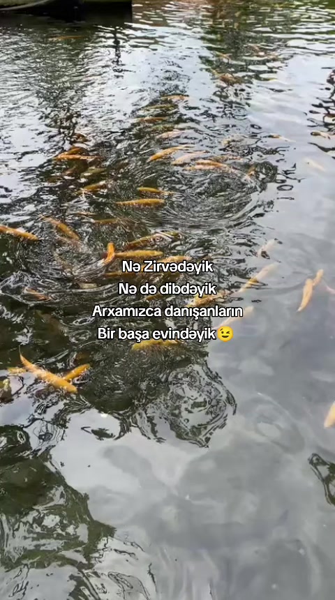 @alekberofws