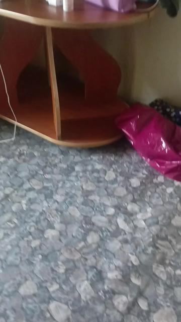 @даниил сергеев