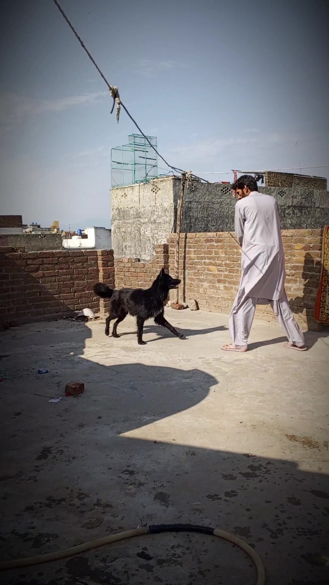 @malikmoheeb05