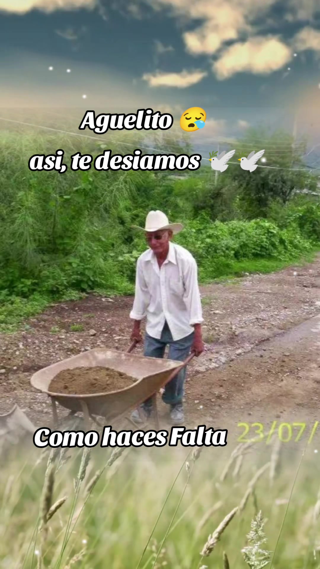 @Jose Guadarrama Cardenas