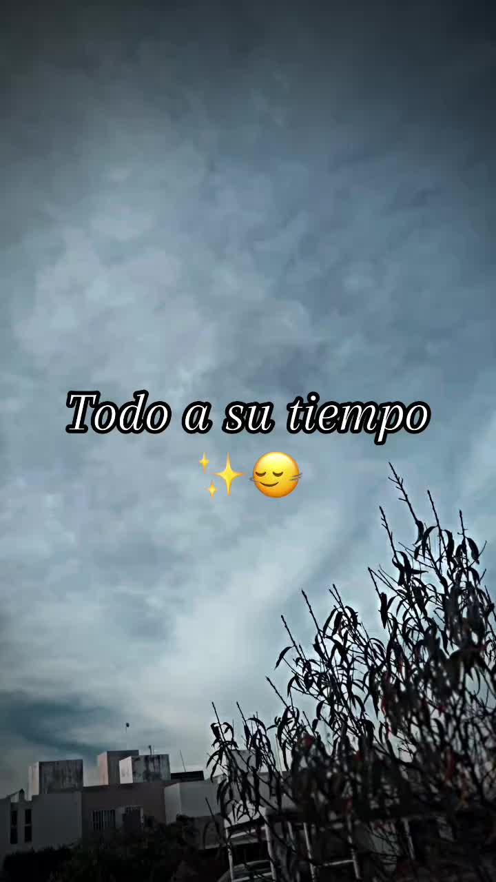 @ALDODERA