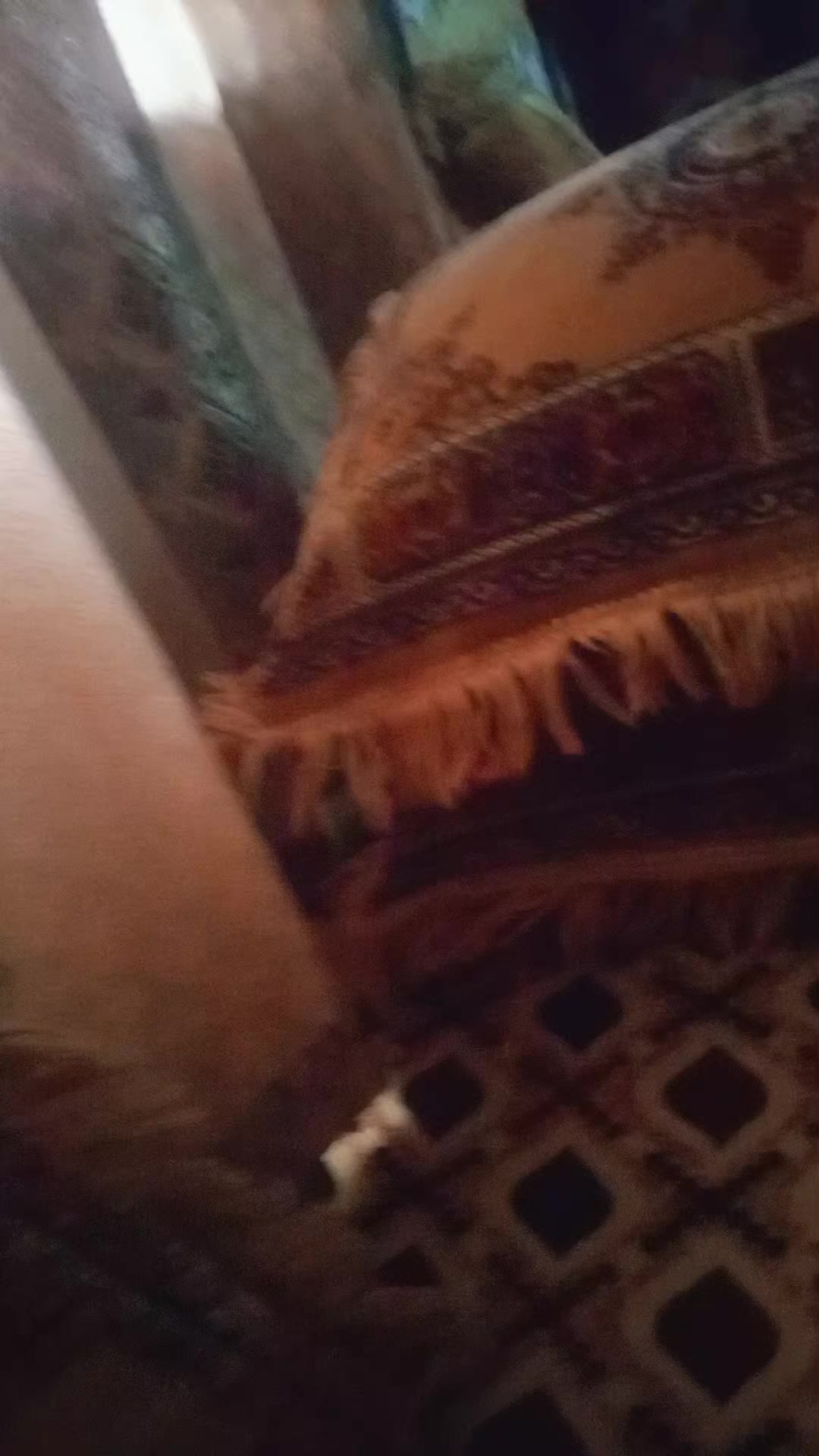 @ننـَووَش:𓆩𝐍