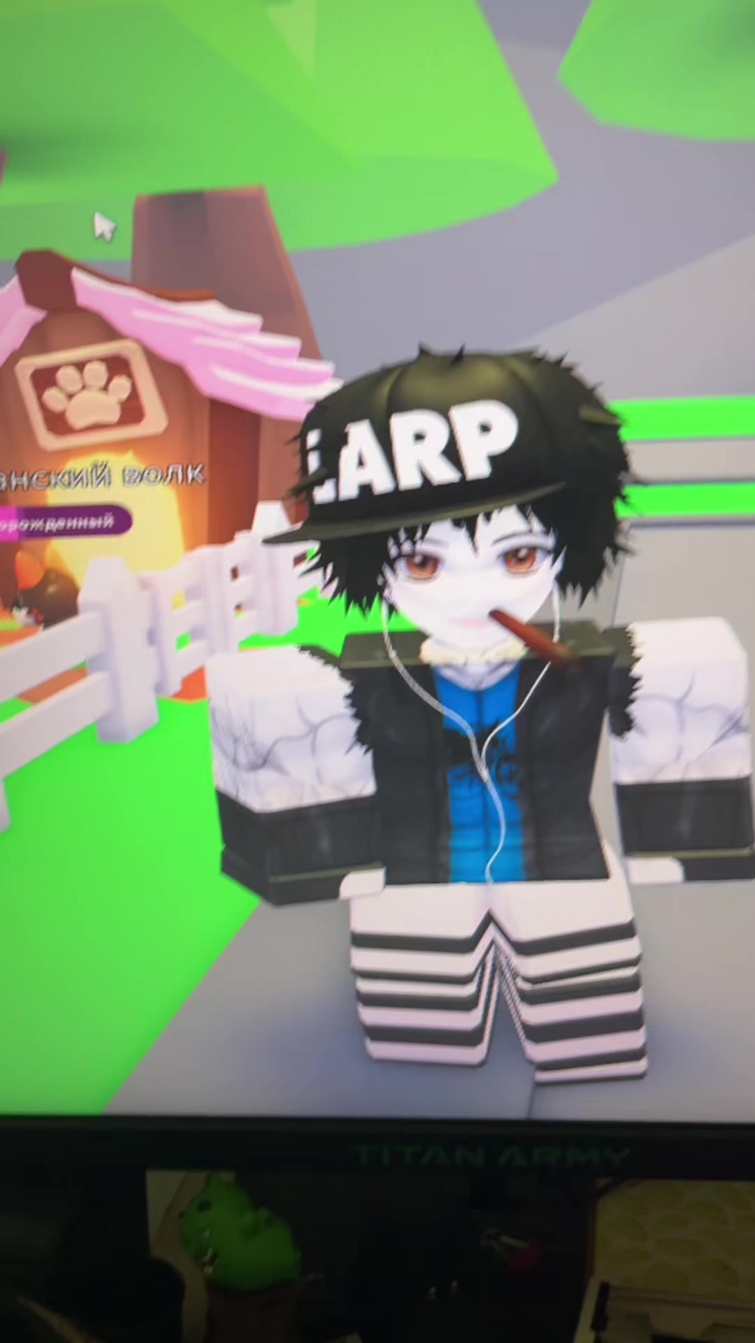@m1z0g1n19