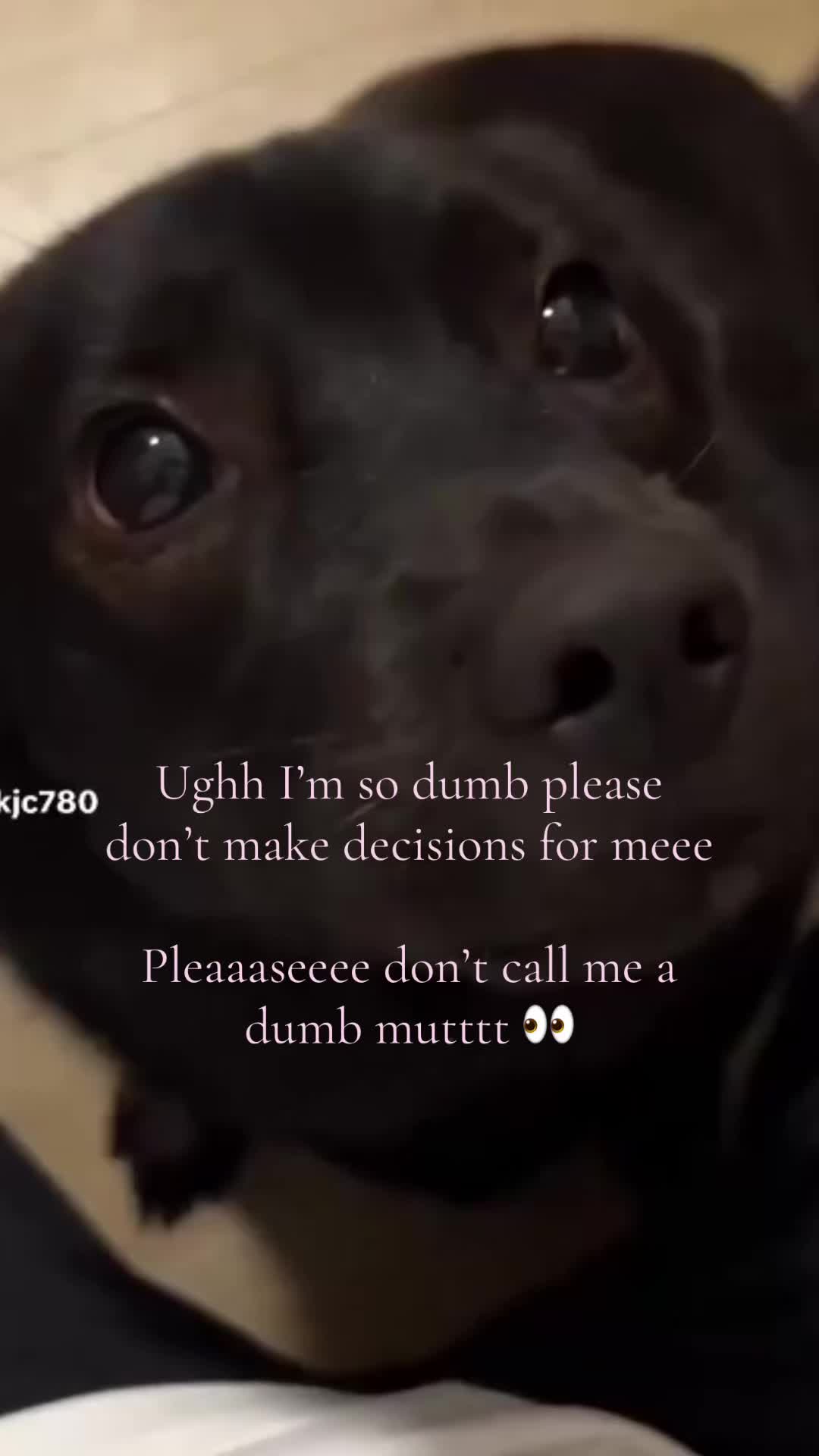 @mimi🐾