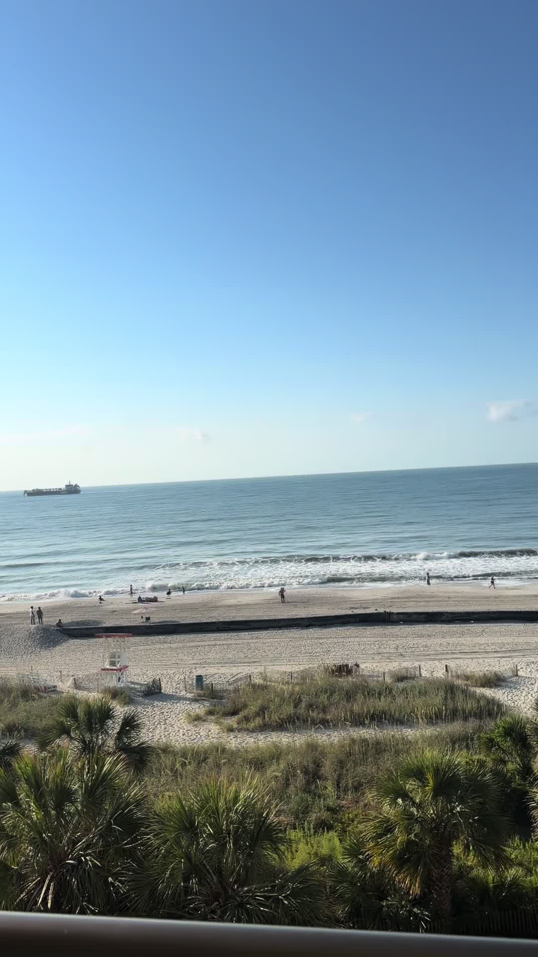 @Tony The Master’s Hand renov