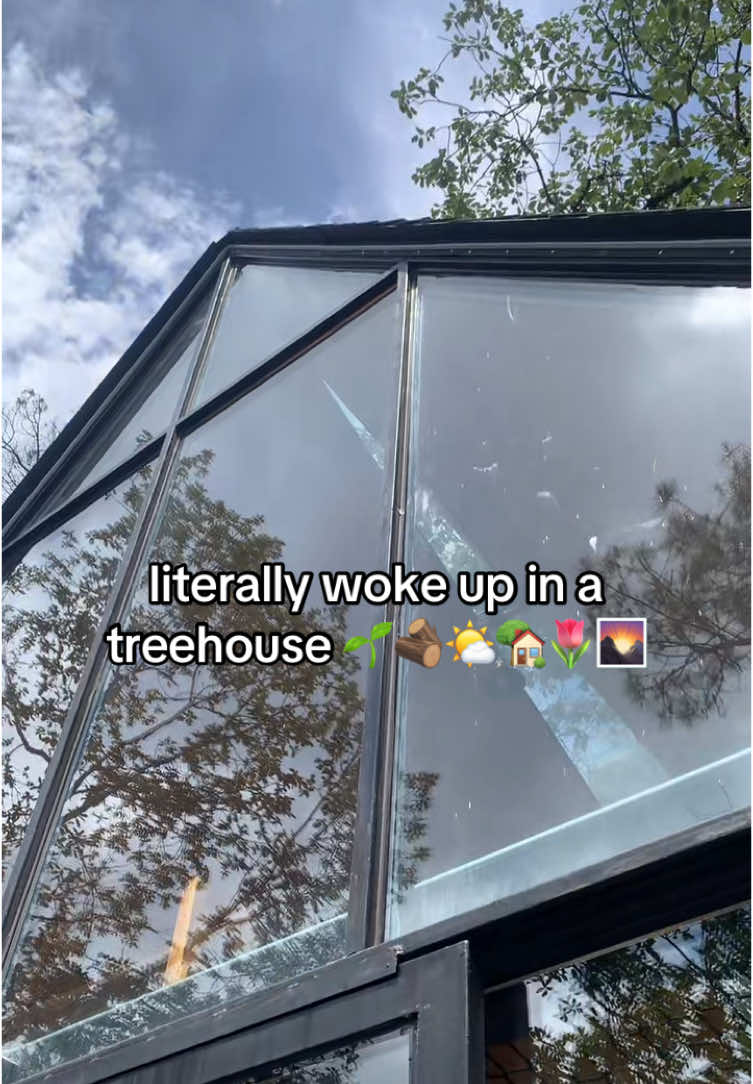 @notisabelrodarte