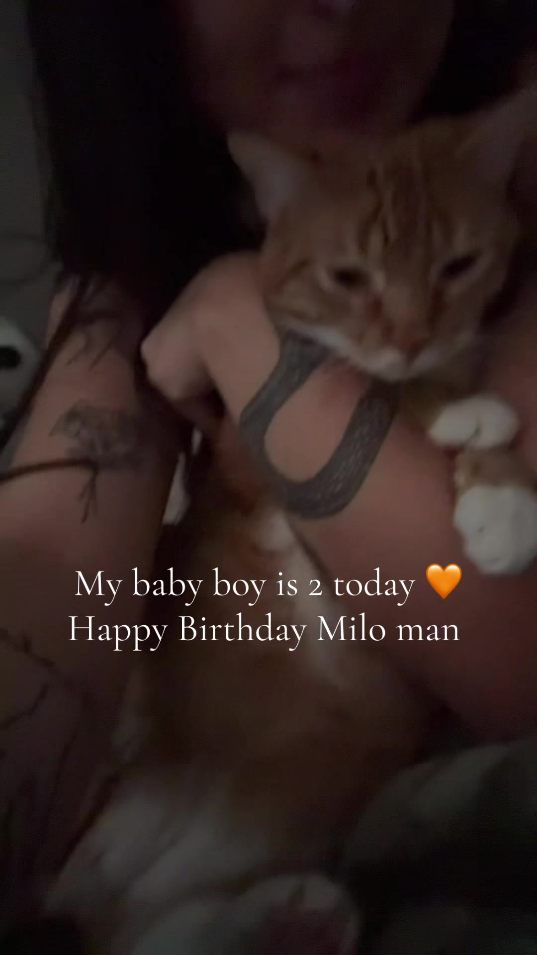 @haleytalkstoomuch