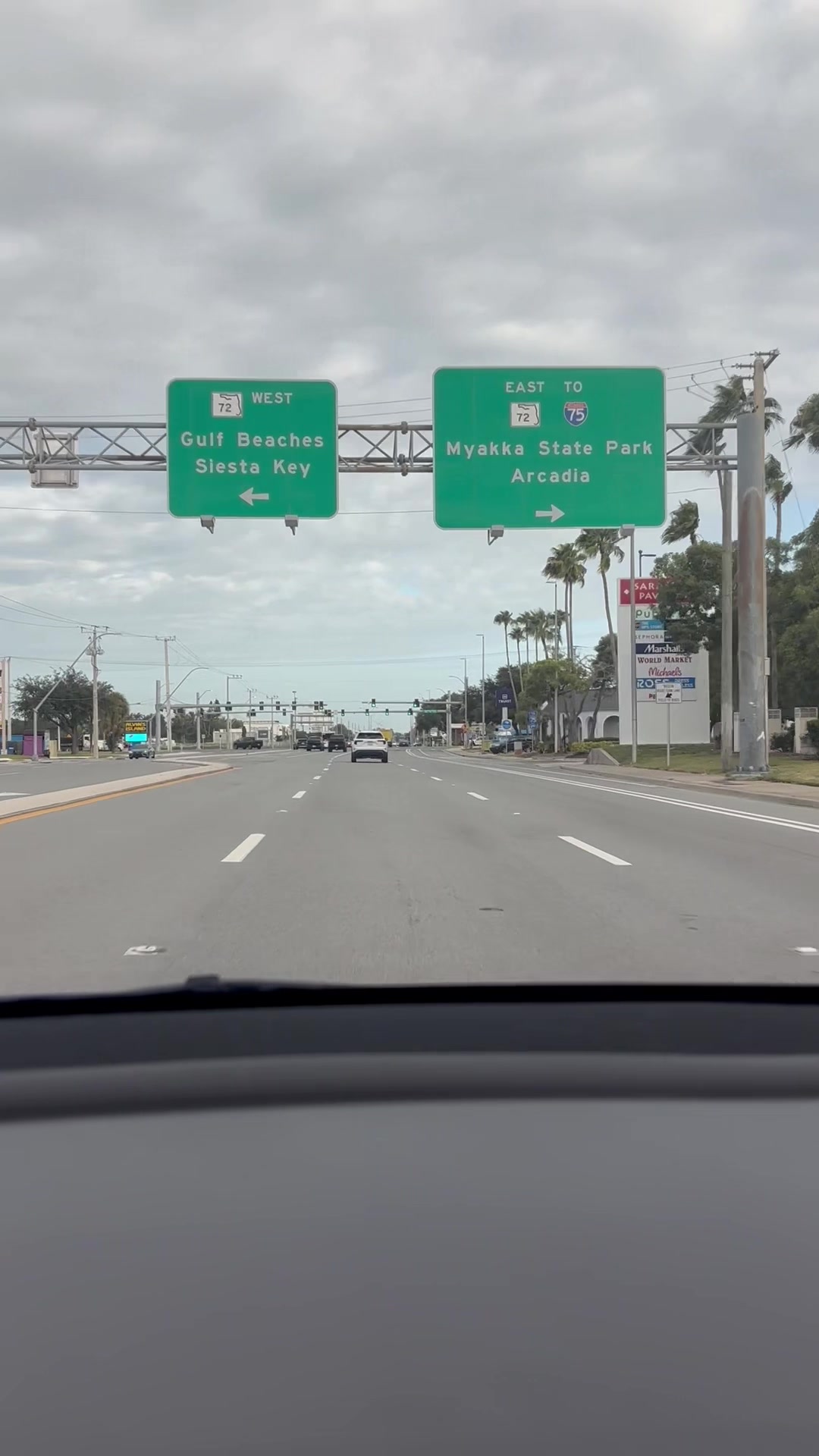 @Sarasota Local Guide 🌊🏝️
