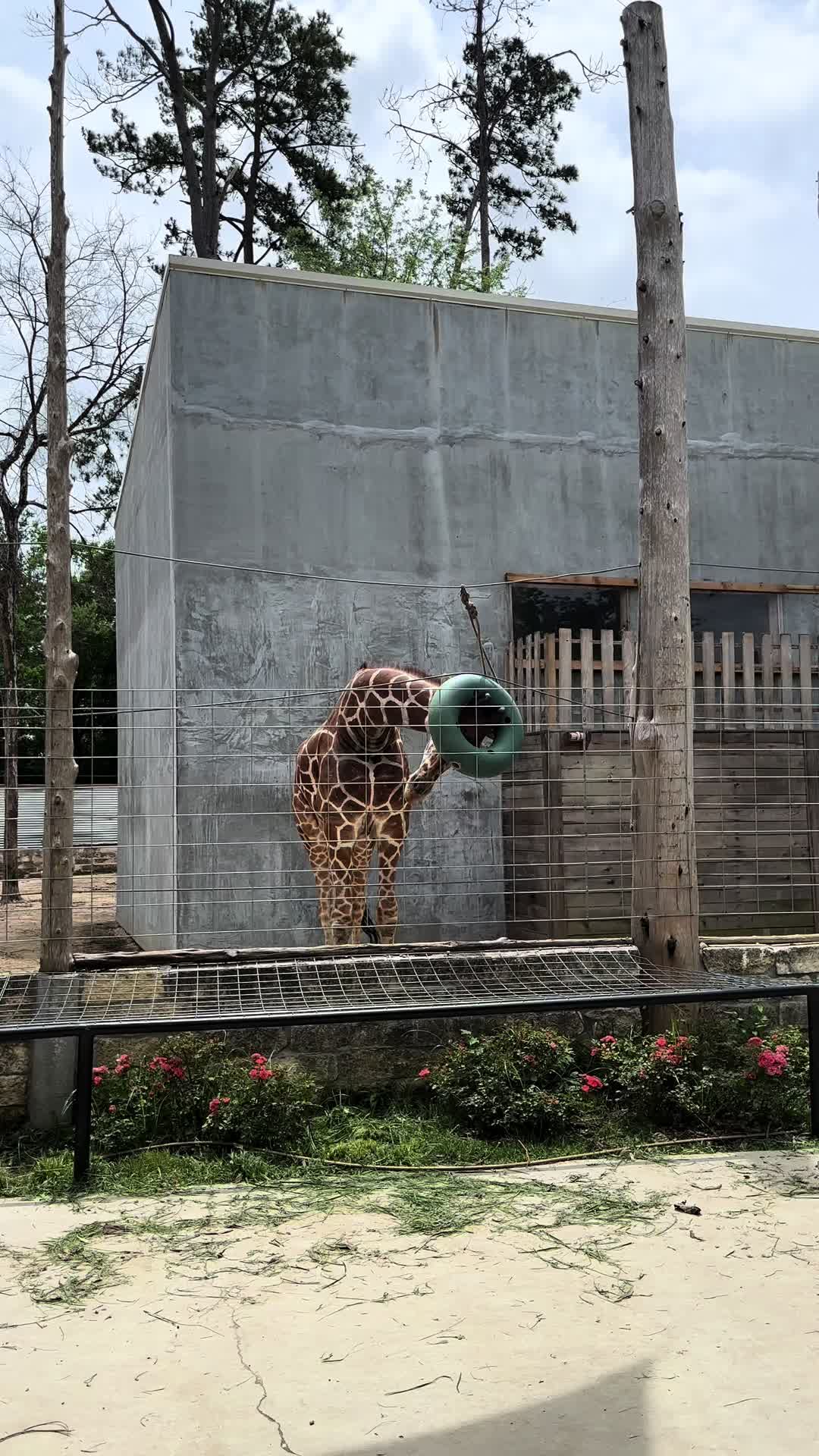 @San Antonio Aquarium