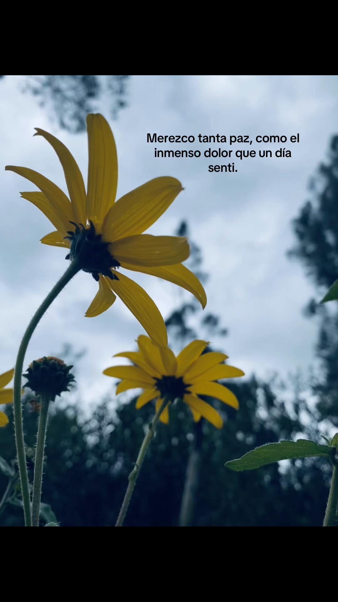 @gaby_cs25