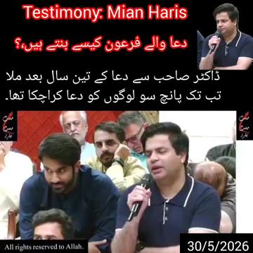 @Shu Maila