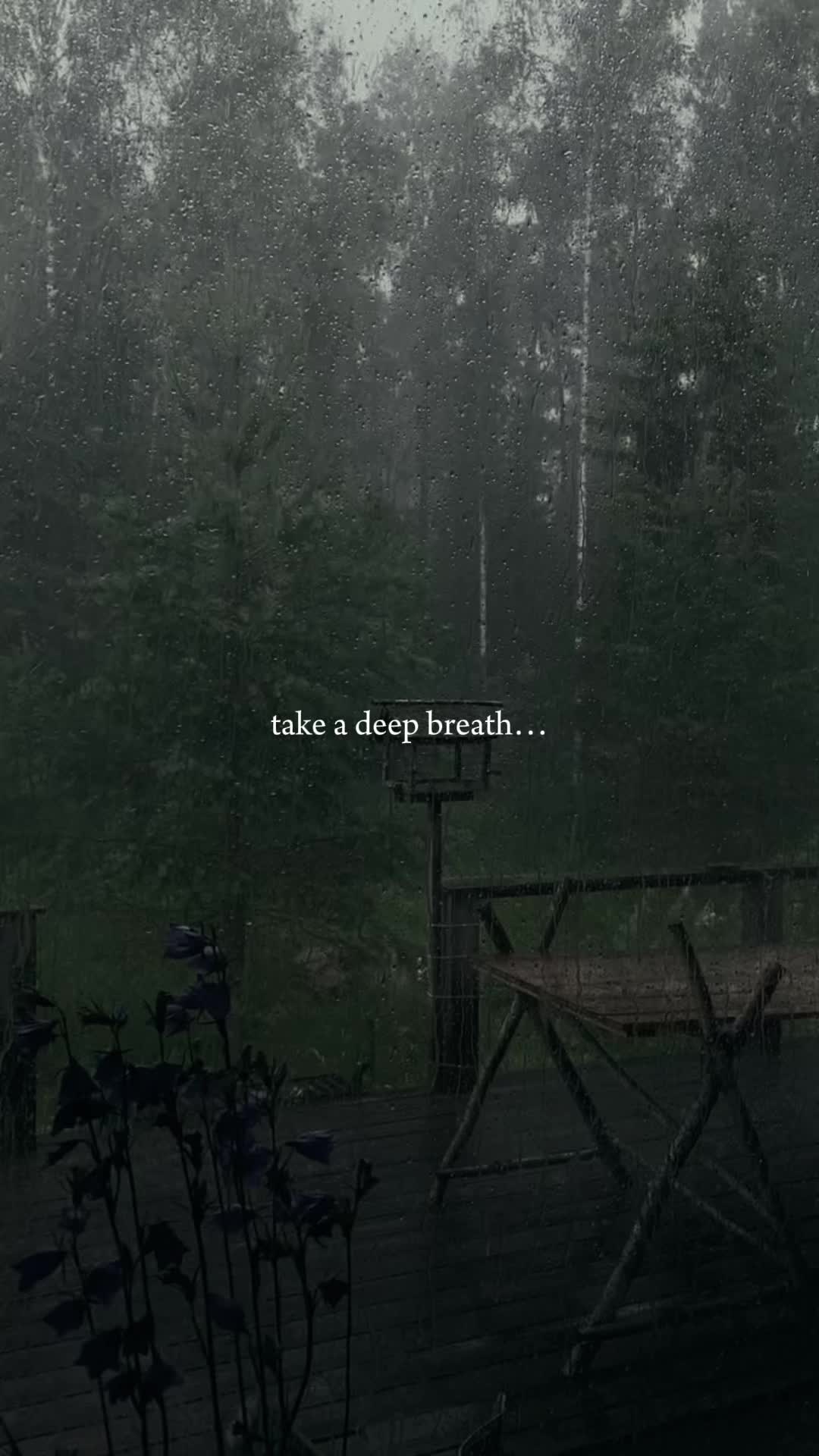 @uncharted.thoughts