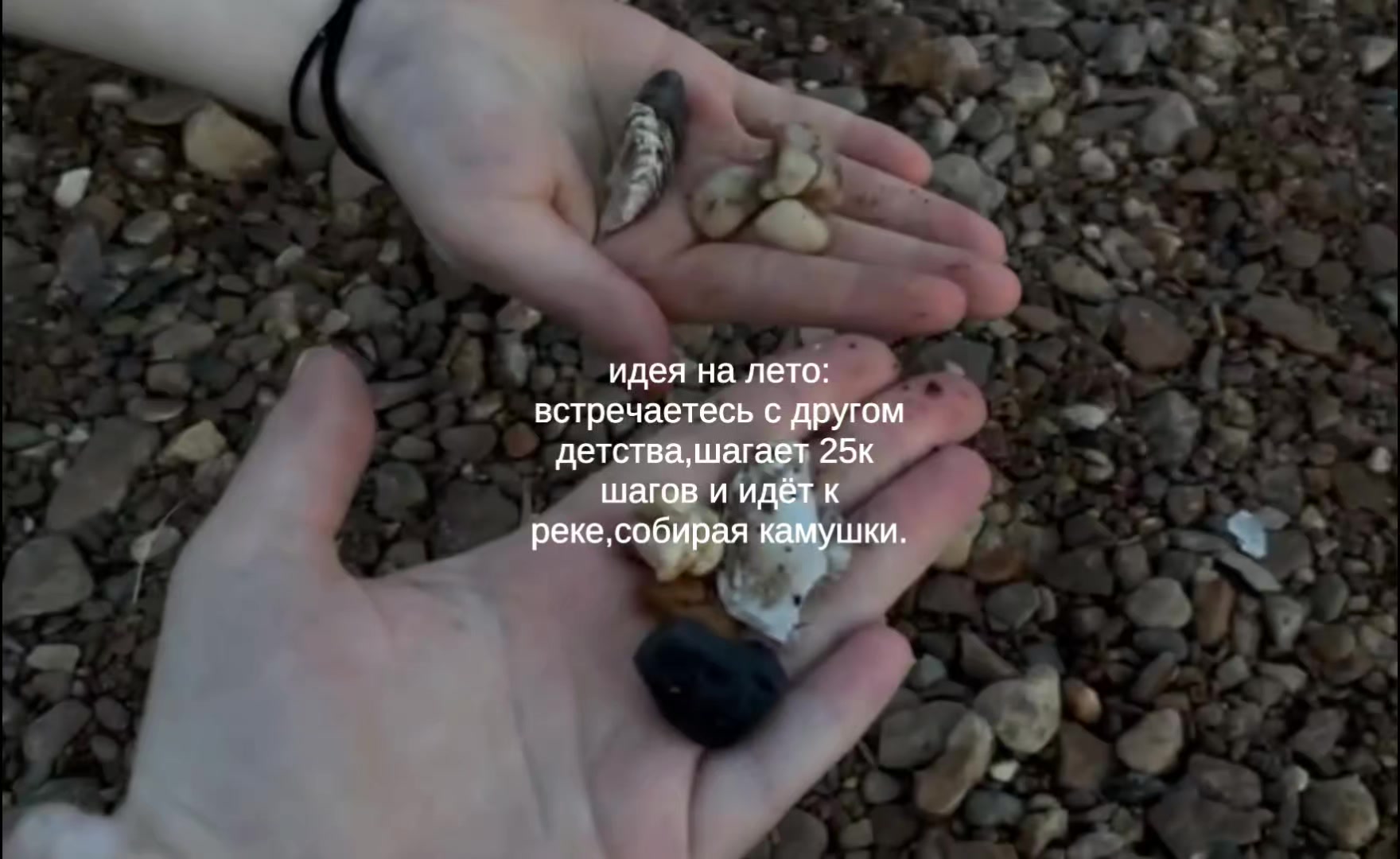 @шушик.🦭