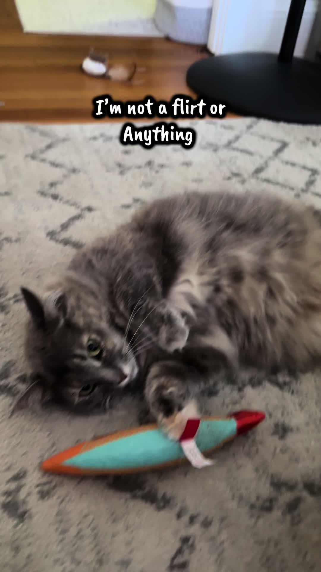 @TailsandWhiskersCo