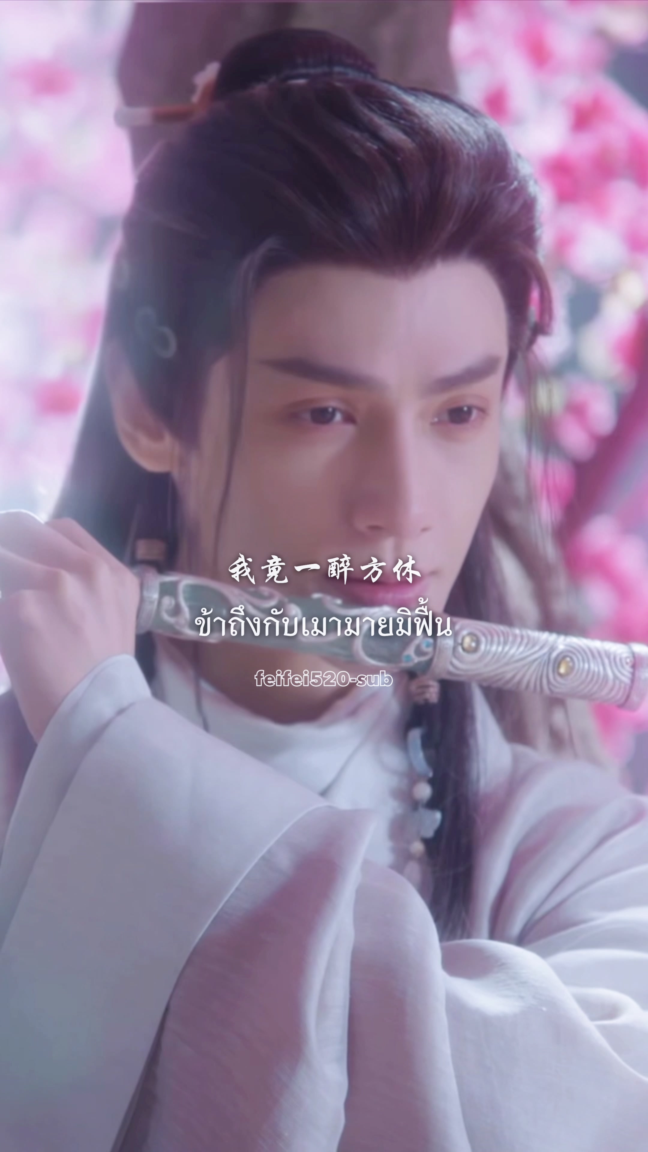 @feifei520