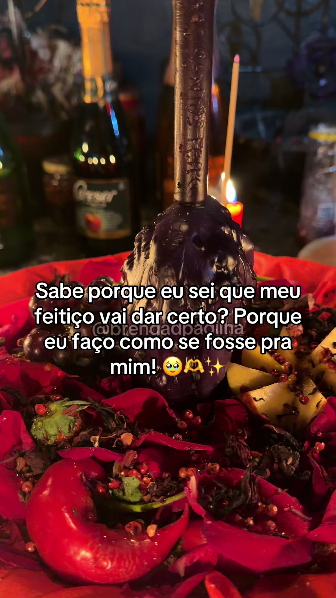 @Brenda da Padilha 🌹💃🏻