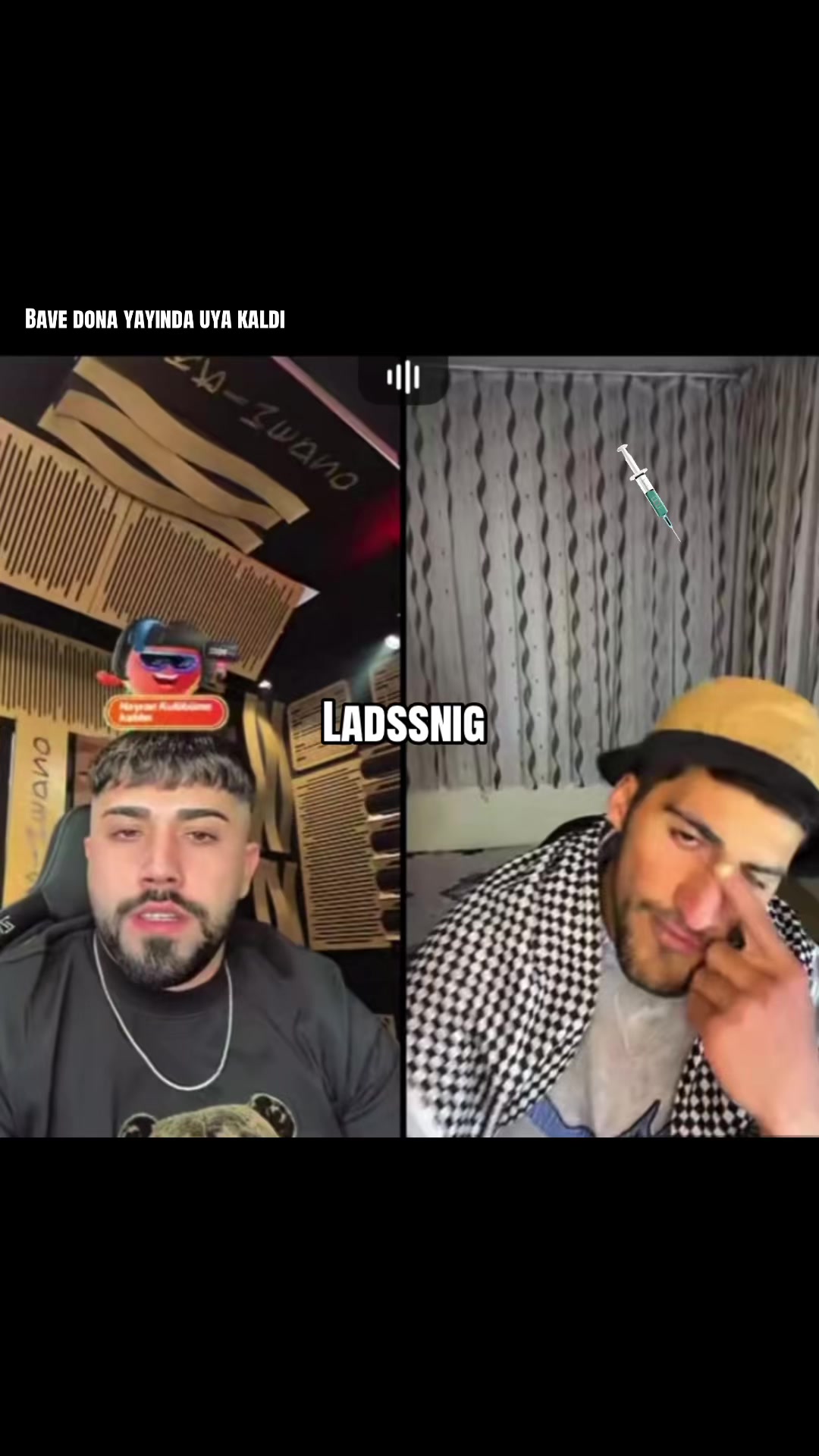 @ladssnig