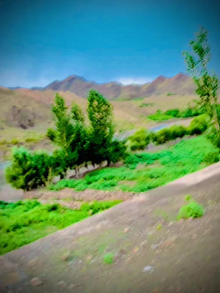 @✨𝐘𝐀𝐒𝐈𝐑 خـــــان✨