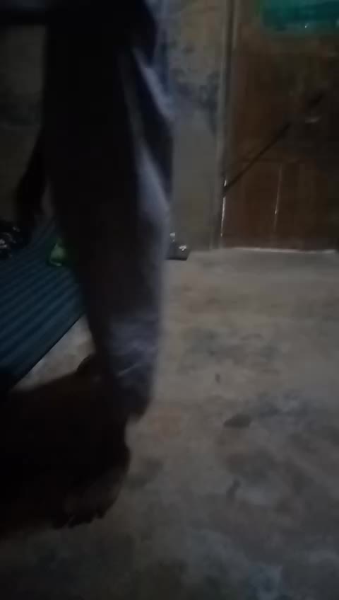 @Mikdad Deishini