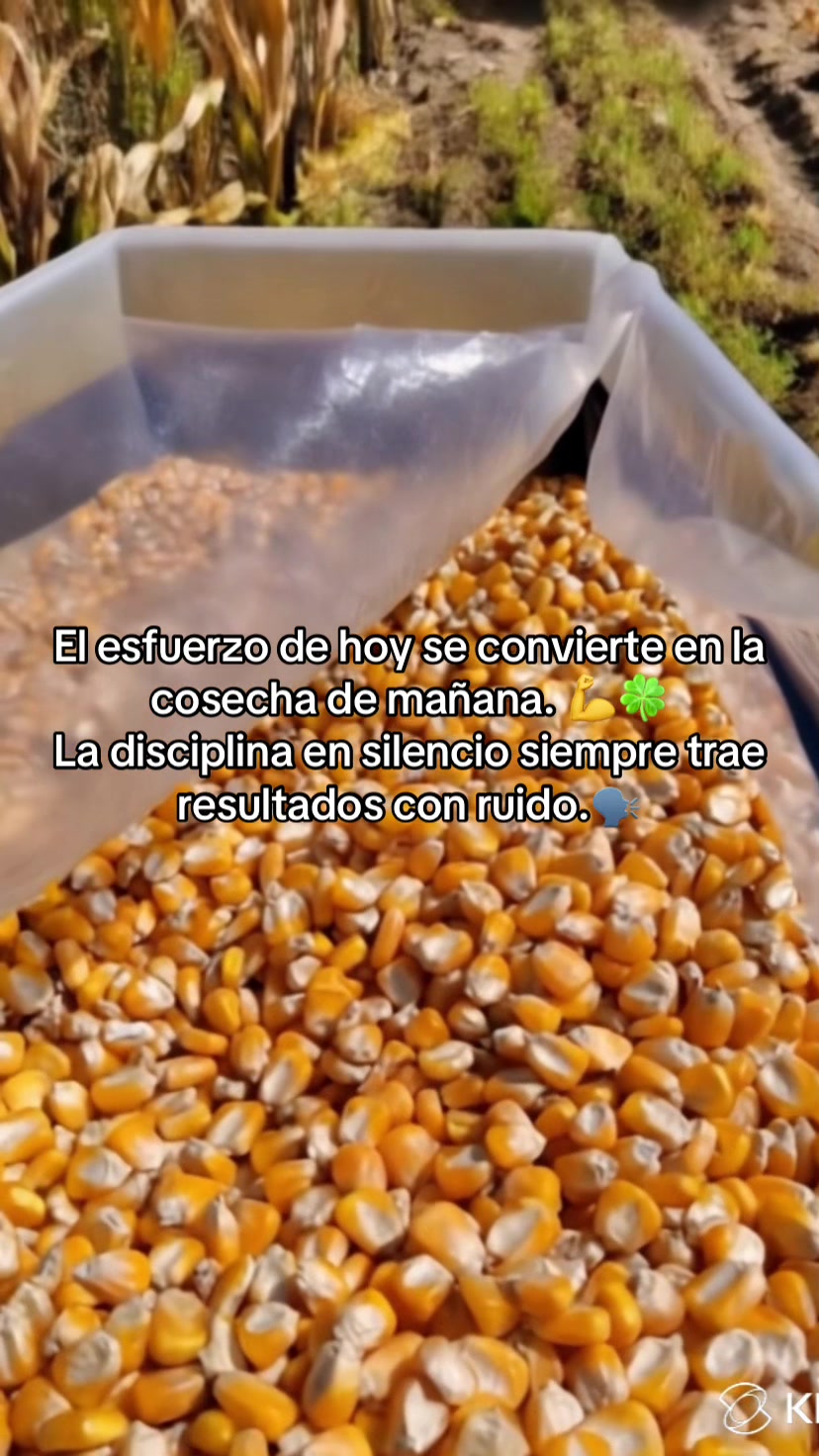 @Comercializadora RG