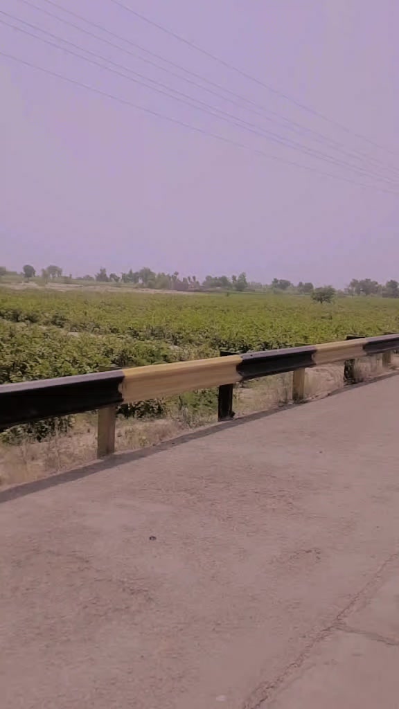 @Talib Sindhi