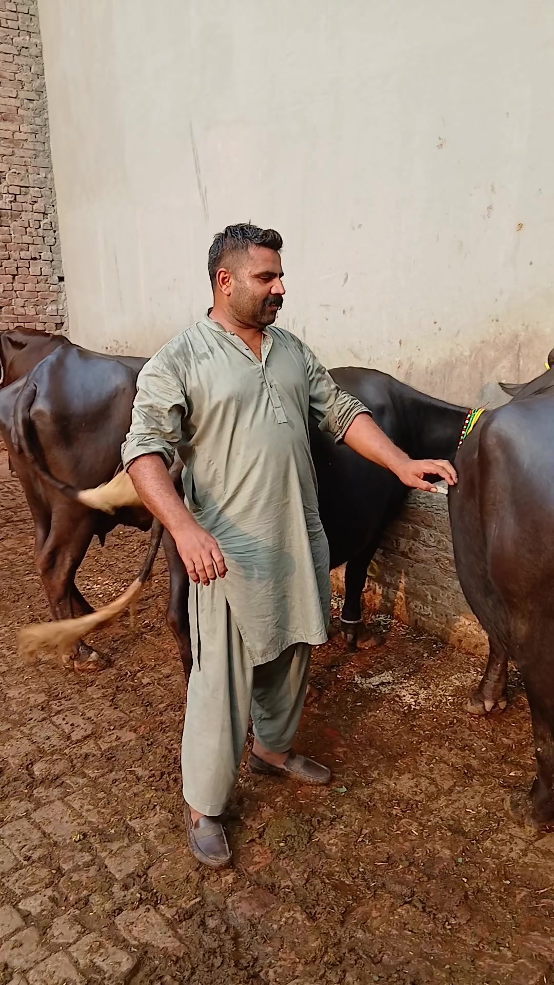 @Farming and Business Ideas