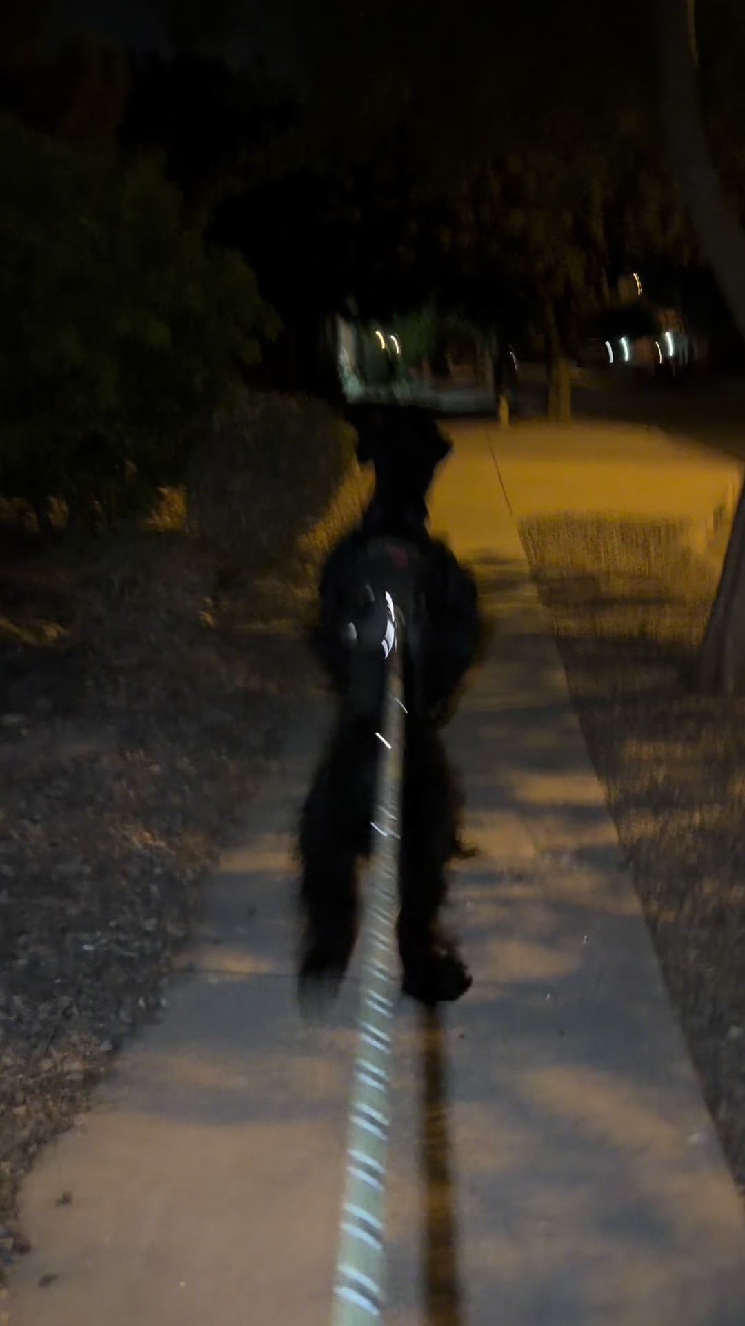 @Fiona Walks