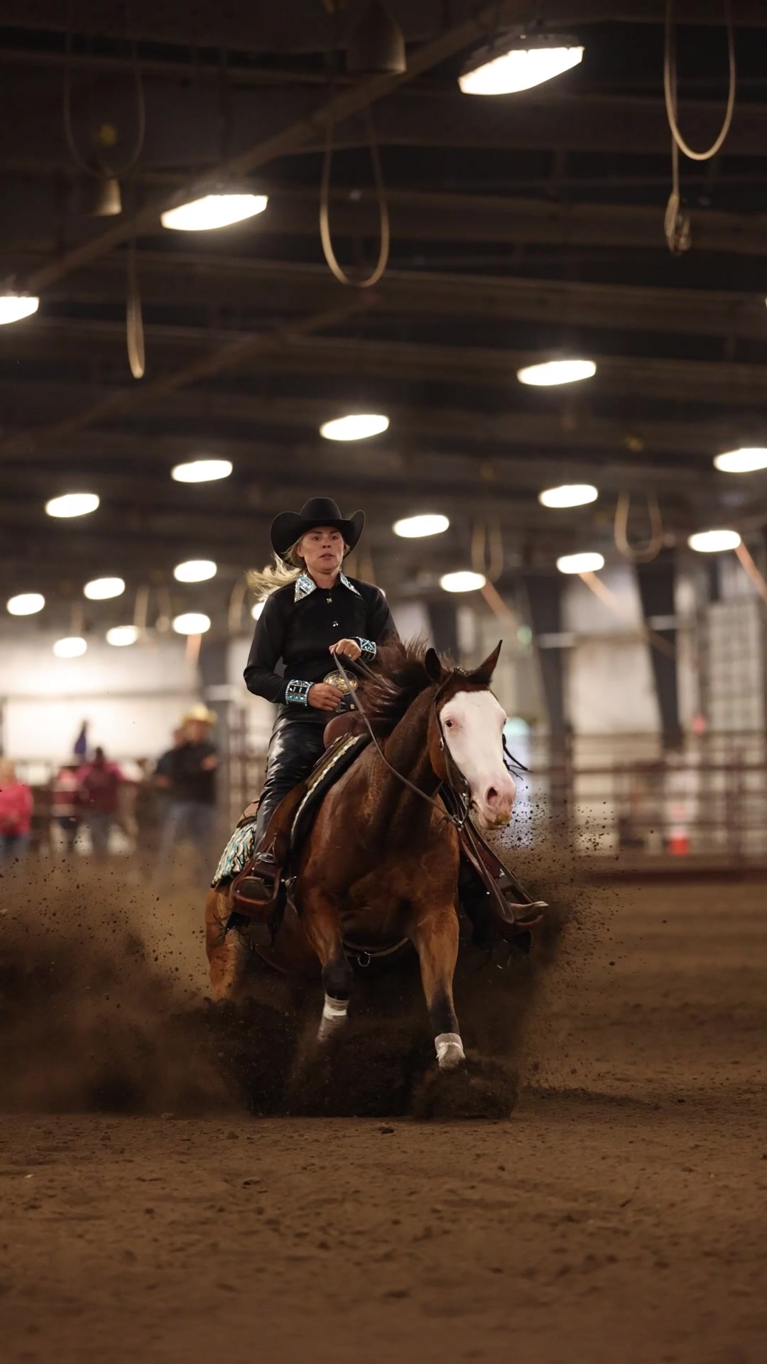 @Aubray | Equine Photographer