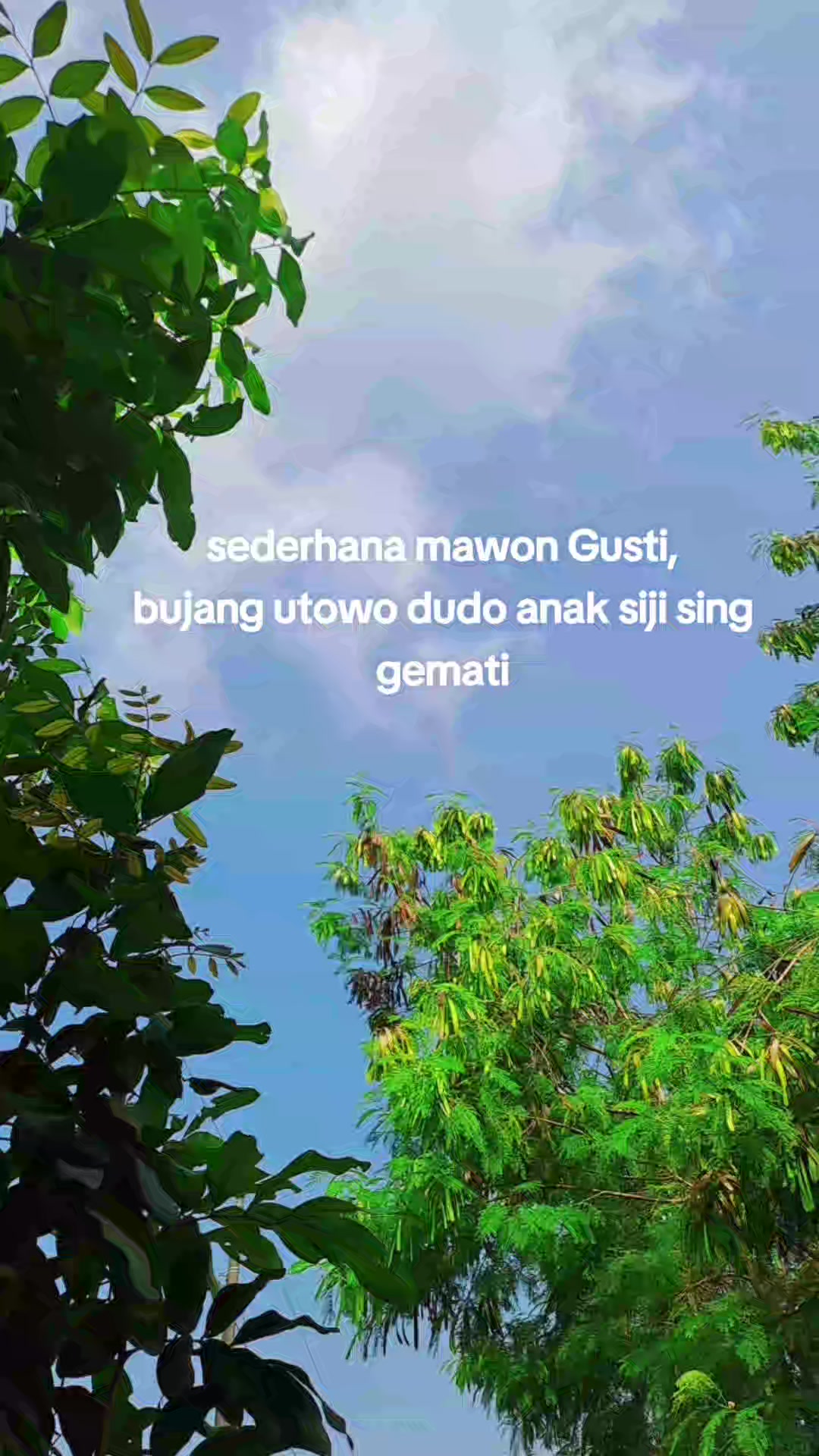 @gibraltarindah🌻