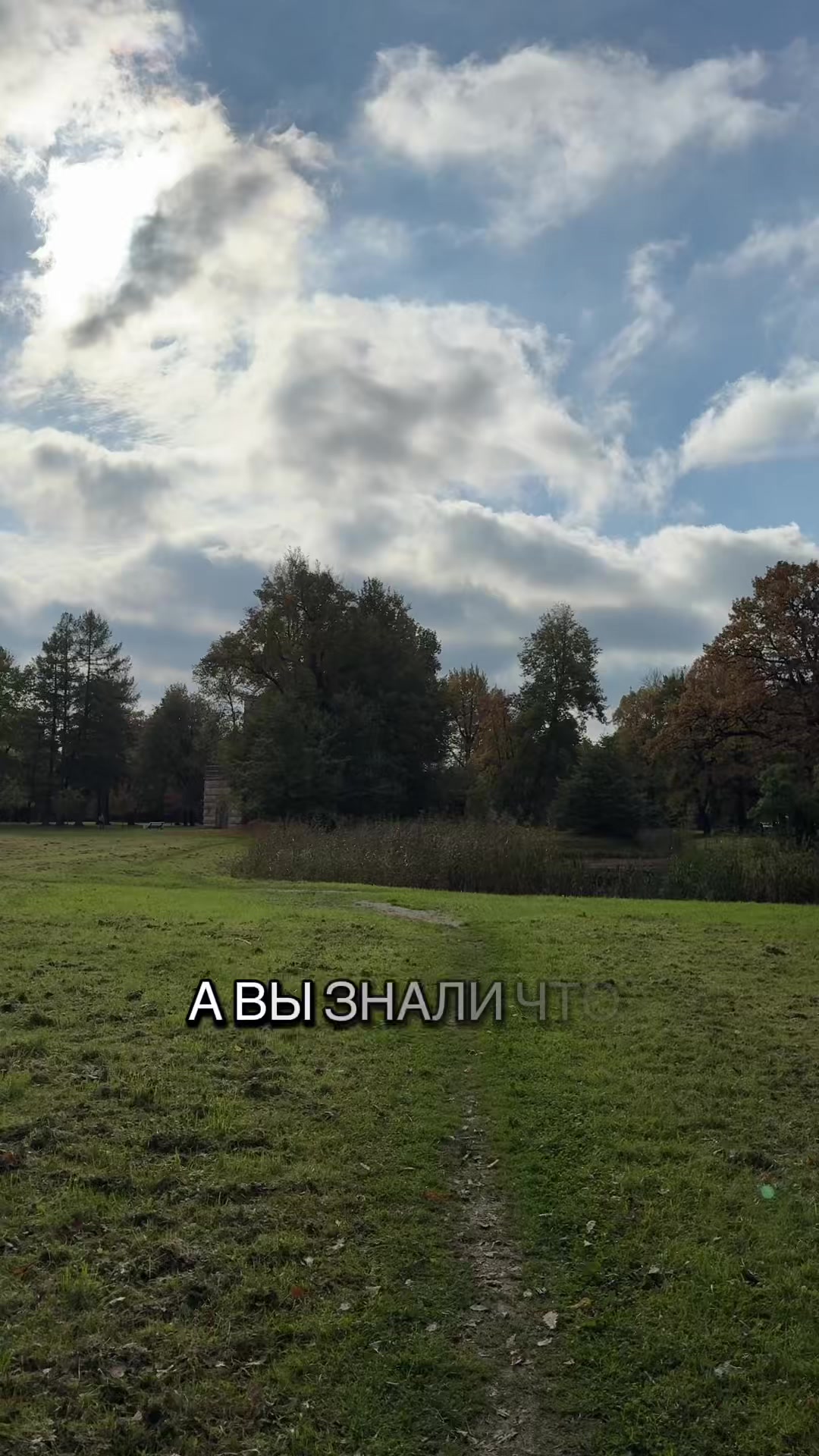 @Хулиганка на авто