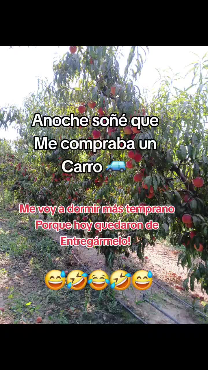 @la jarochita ๐๐๐๐