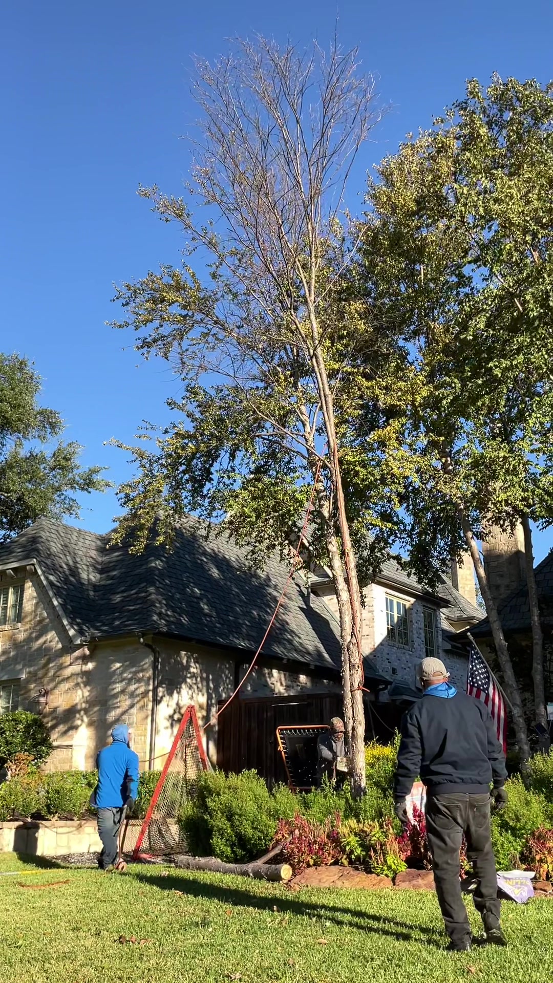 @Live Oak Tree Service