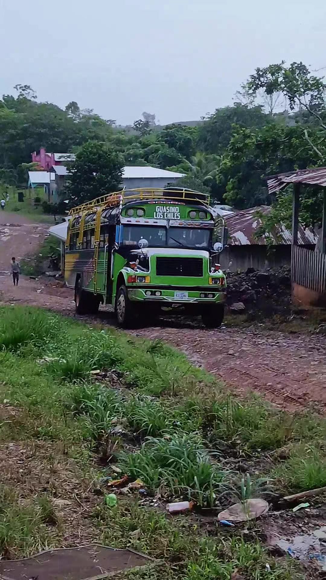 @buses de centroamérica