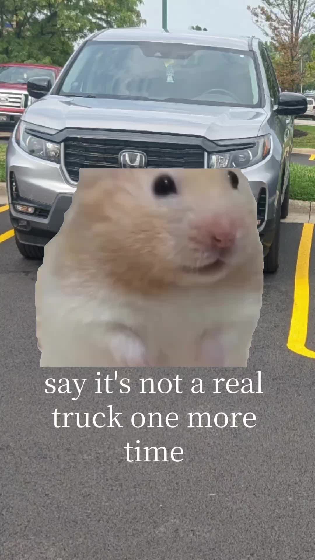 @Rebel Beanie