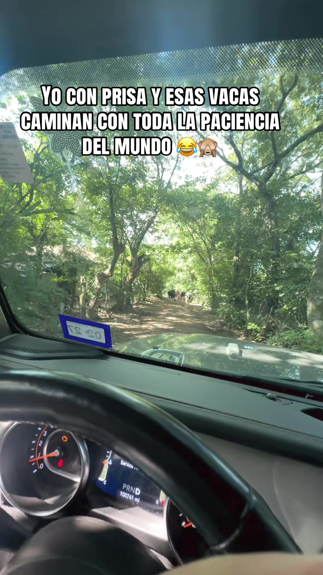 @Tammy Velasquez