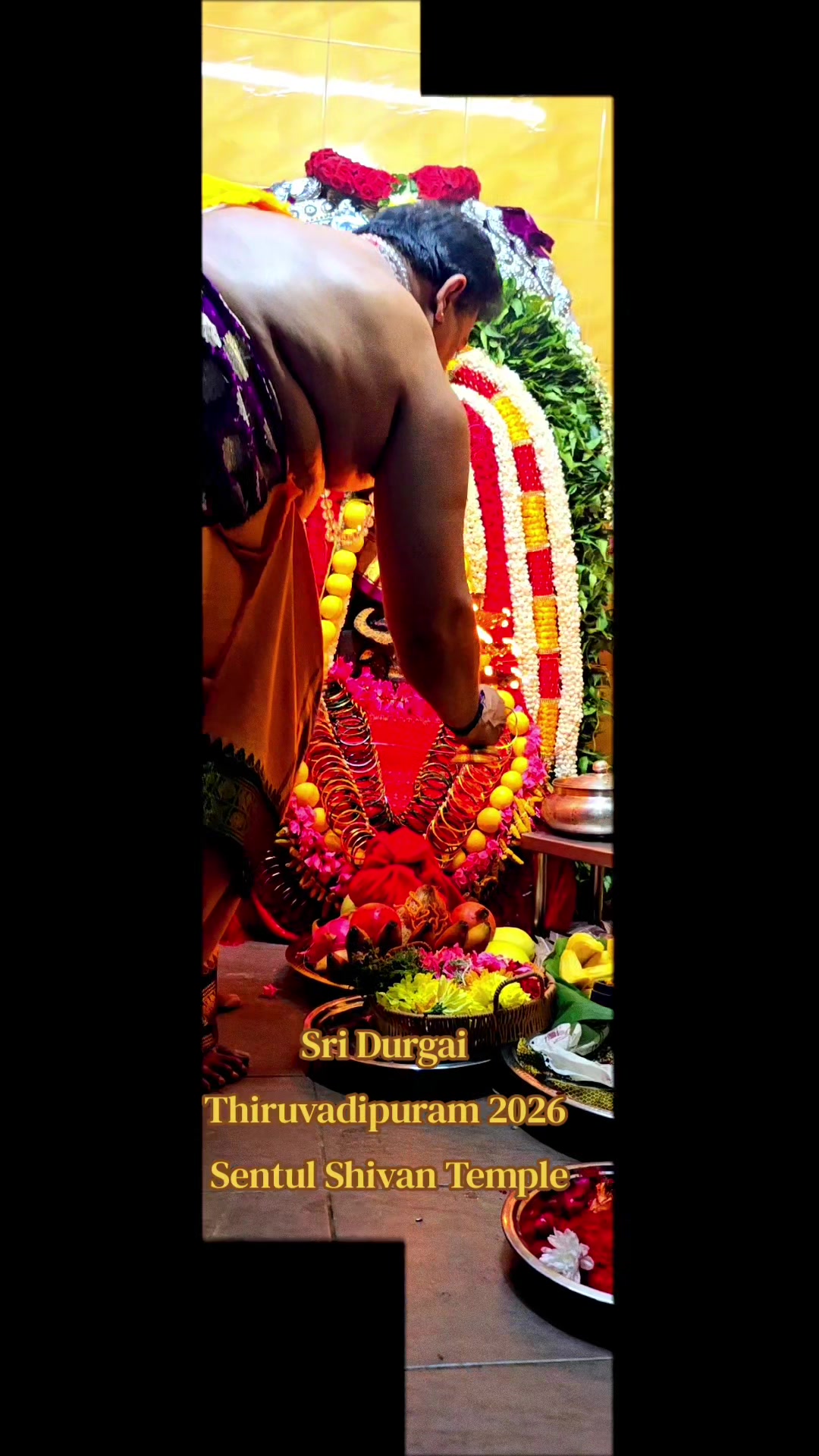 @tirumagaltextiles